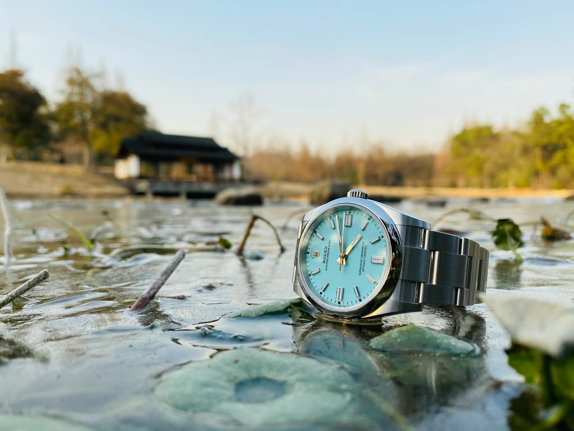 Timeless Luxury, Previously Owned