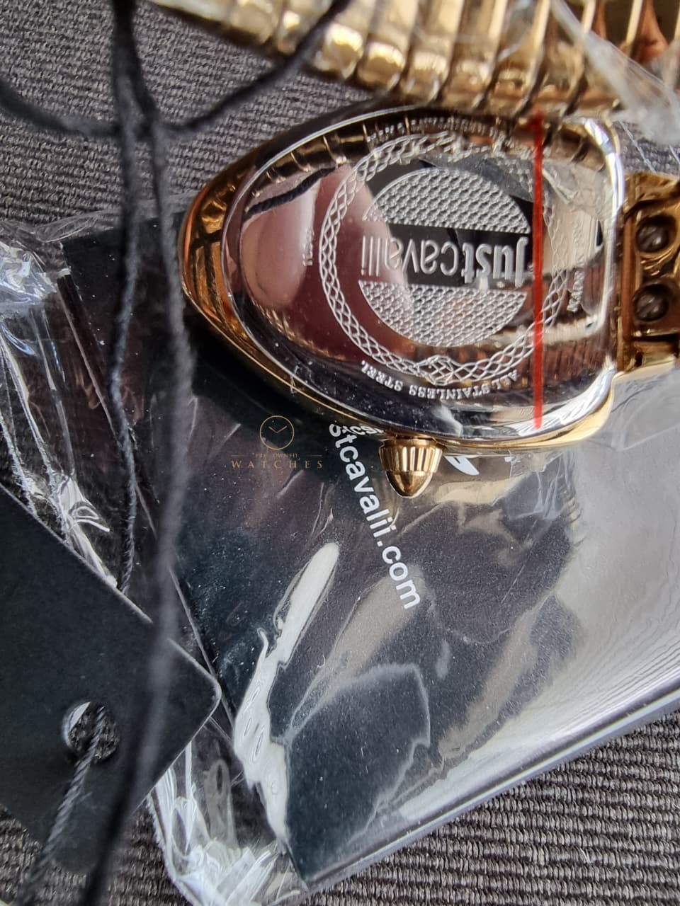 Just Cavalli Signature Snake Gold-Tone Red Dial Ladies Watch – JC1L249M0025 - Image 4