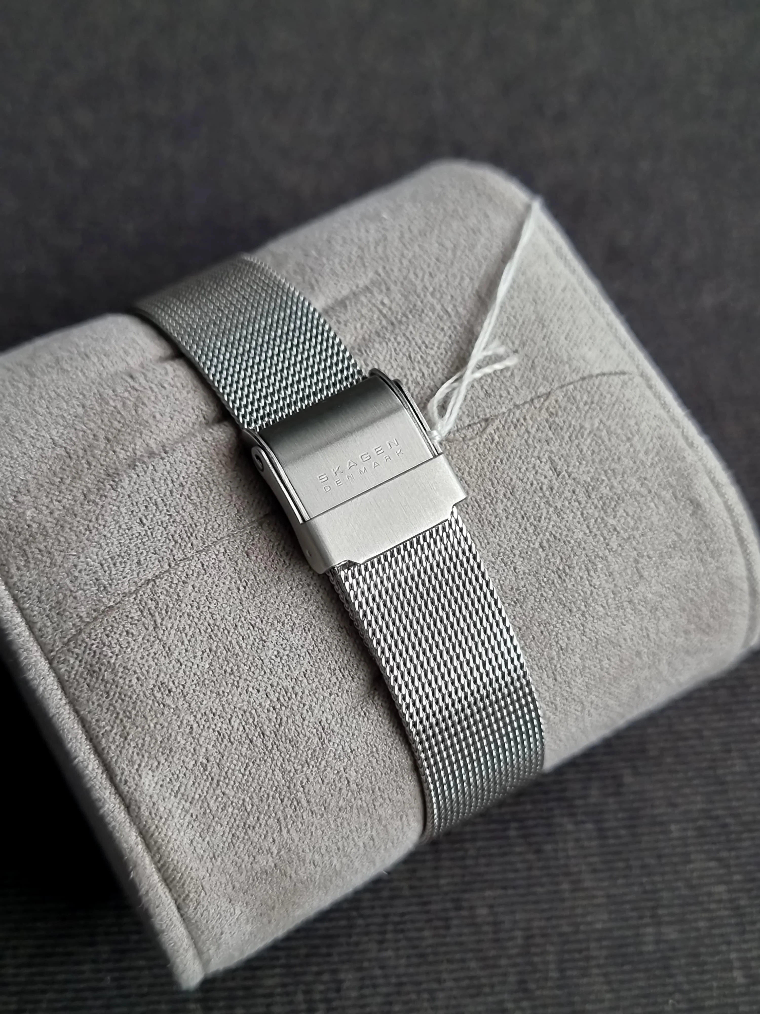Skagen Denmark Fashion Brand DCL358SSSD 25mm Dial Quartz Watch - Image 3